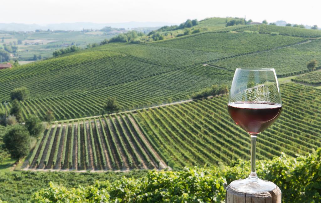 Agriturismo Albarossa Ницца-Монферрато Экстерьер фото
