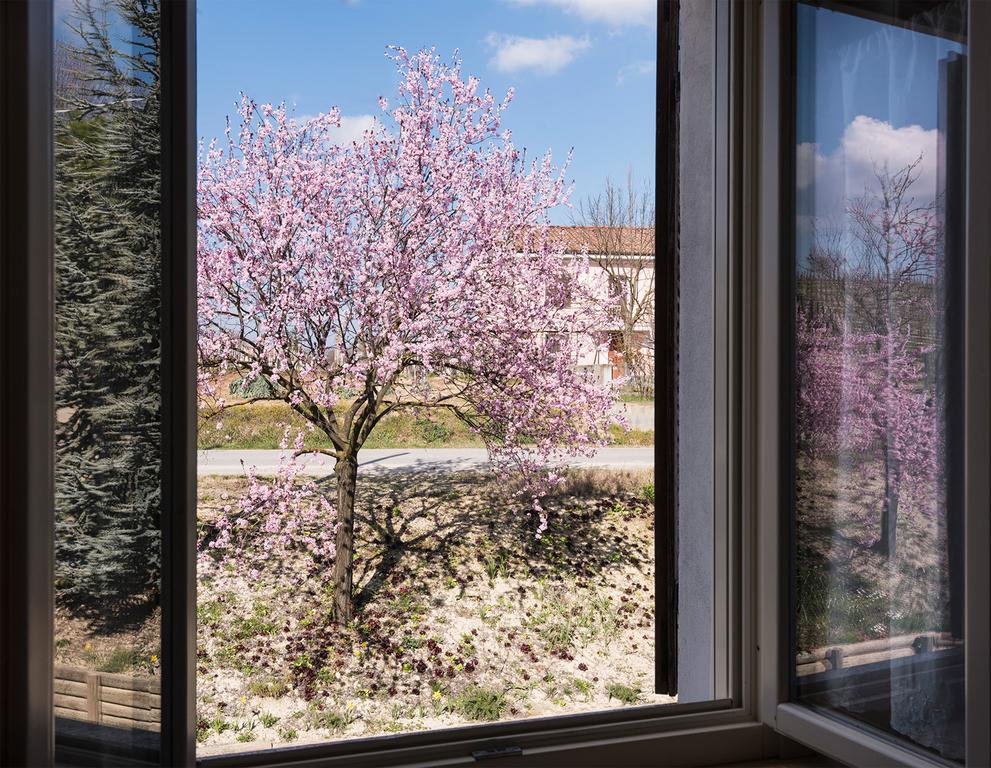 Agriturismo Albarossa Ницца-Монферрато Экстерьер фото