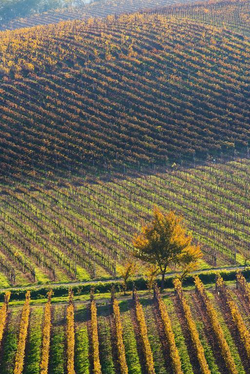 Agriturismo Albarossa Ницца-Монферрато Экстерьер фото