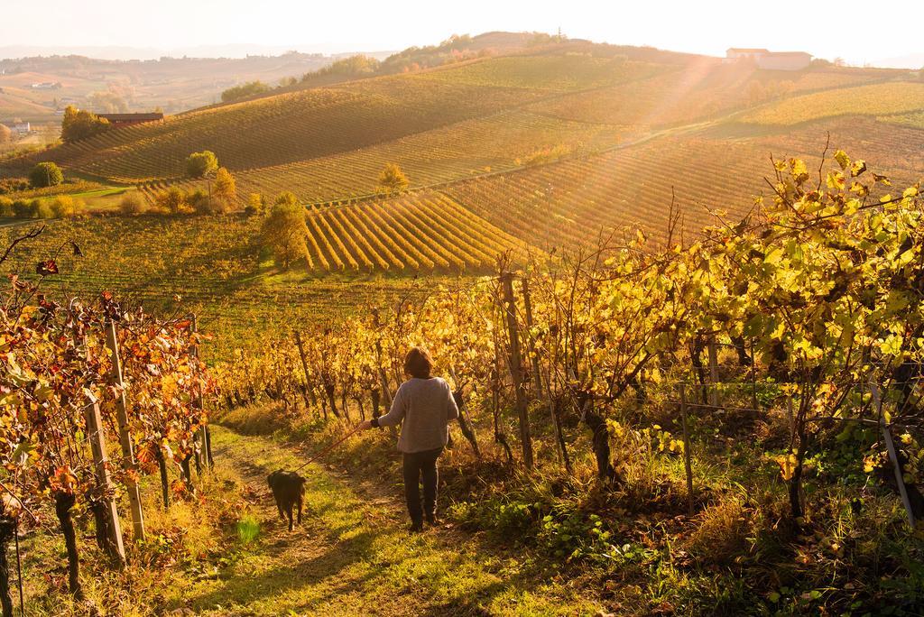 Agriturismo Albarossa Ницца-Монферрато Экстерьер фото